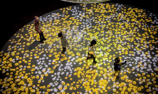people in flower field exhibit
