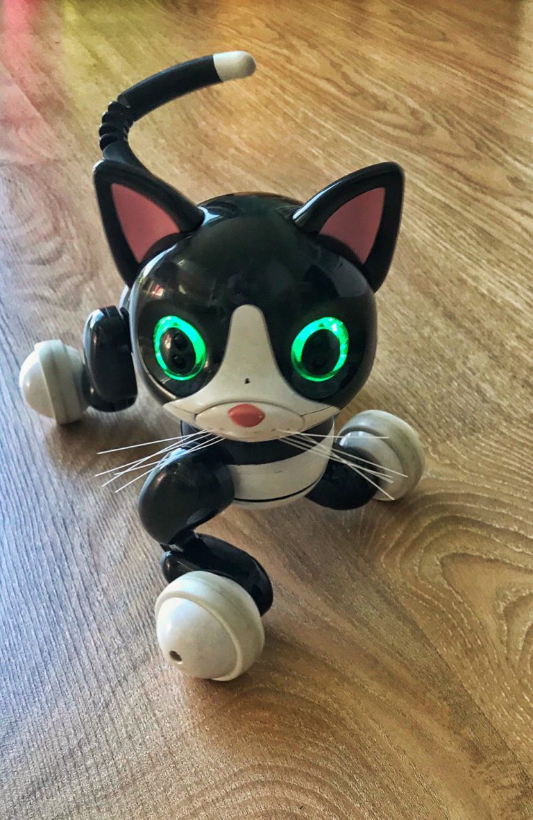cat toy